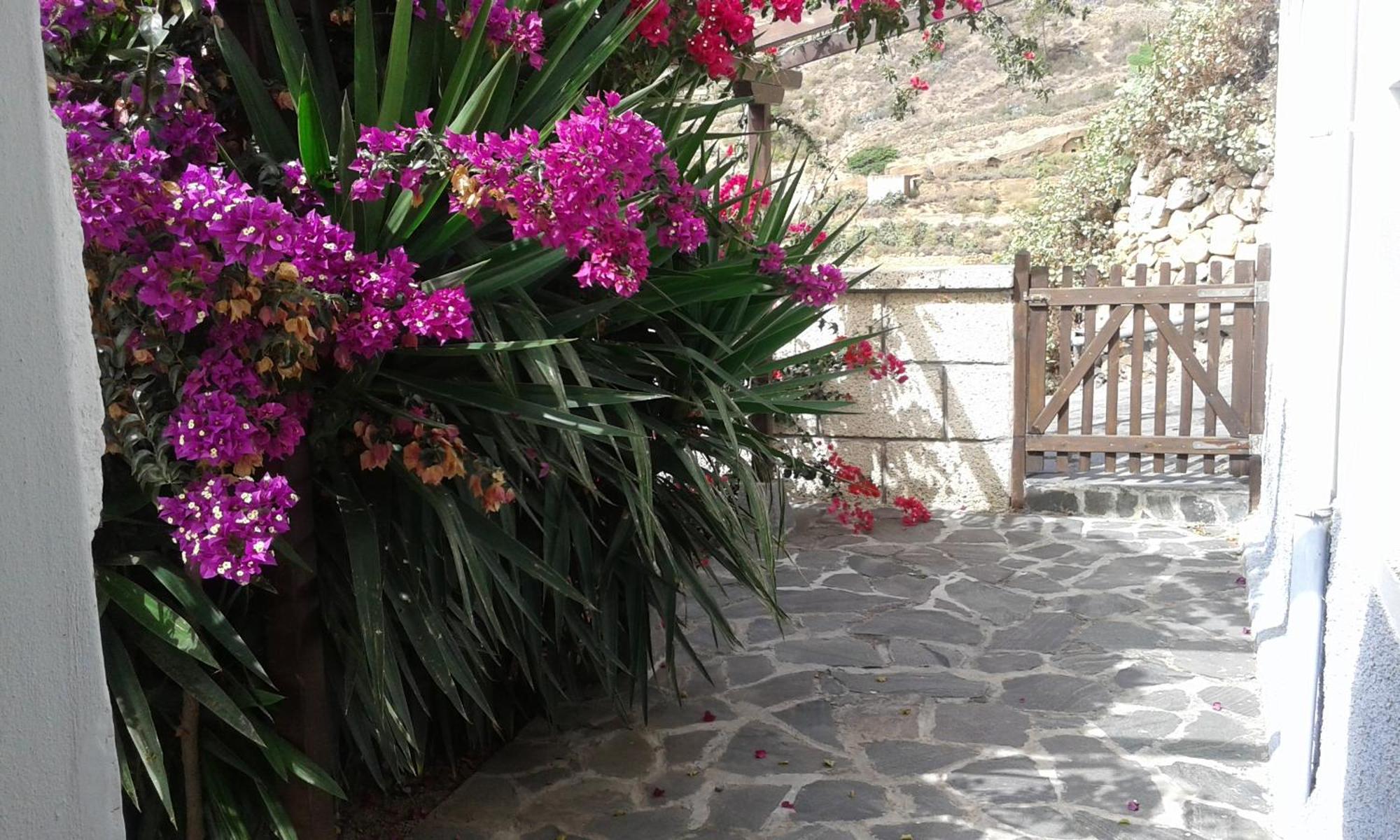 Casapancho 1 Y 2 - Casa Rural - Fasnia - Tenerife Bilik gambar